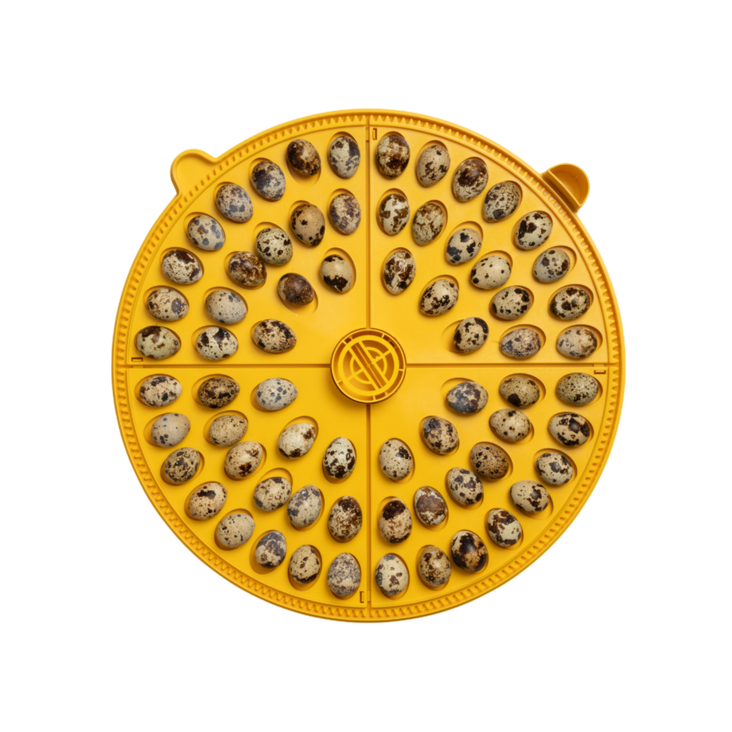 Rugemaskin Brinsea Maxi 48 EX Connect – Appstyrt