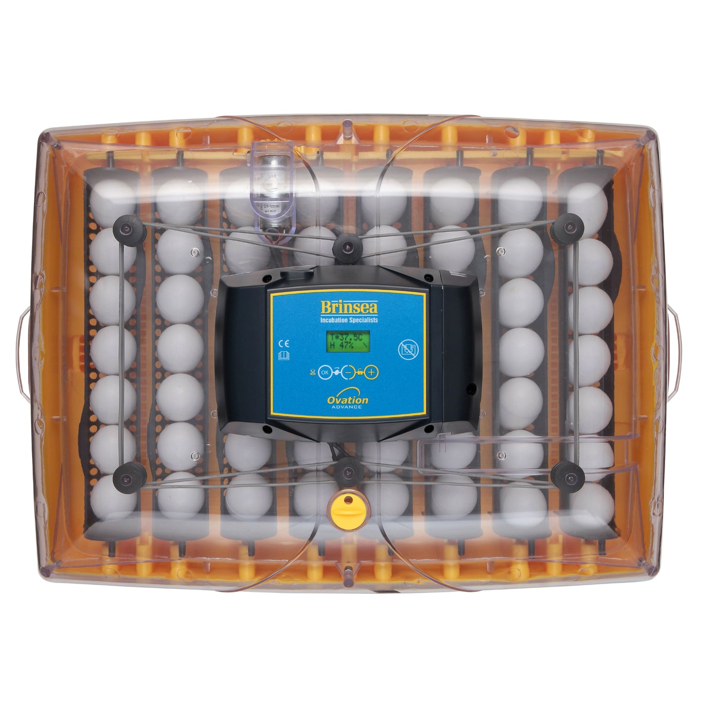 Rugemaskin Brinsea Ovation 56 Advance - Automatisk Vendning