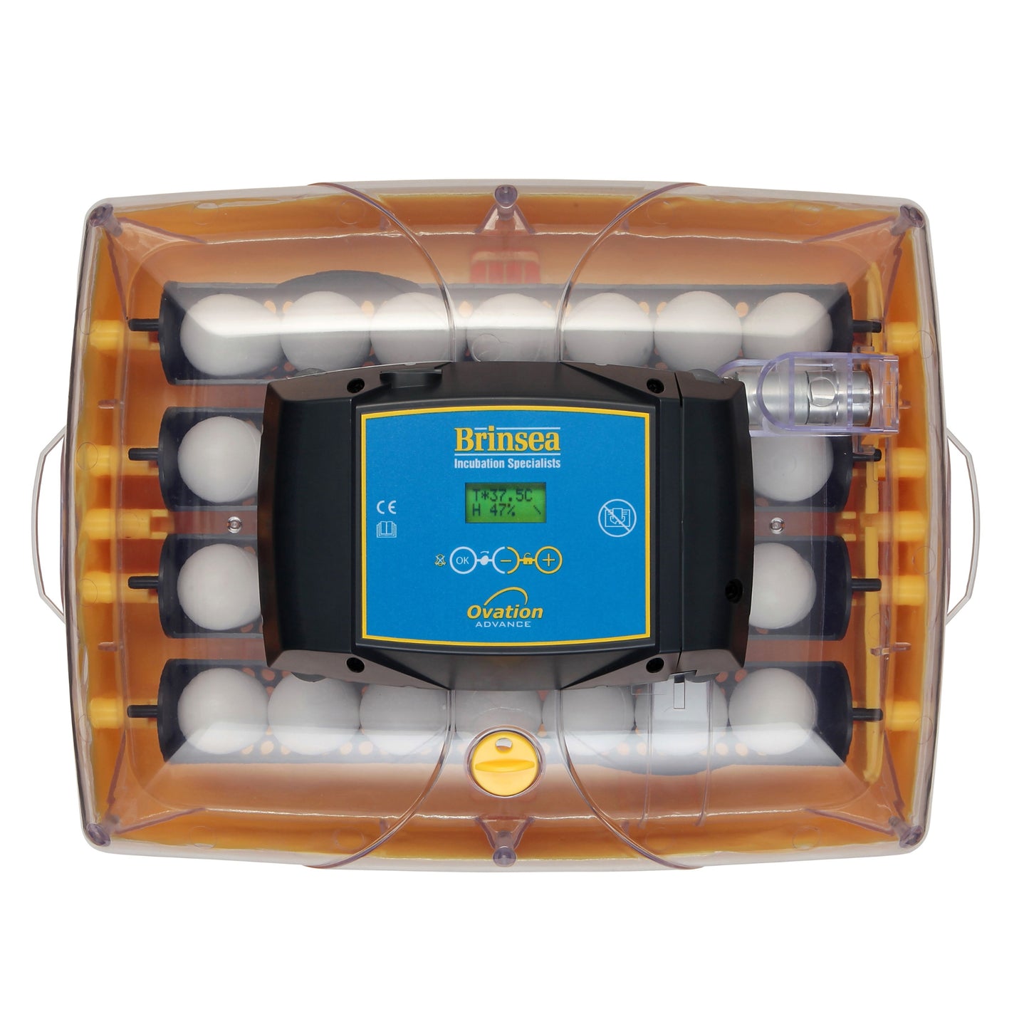 Rugemaskin Brinsea Ovation 28 Advance - Automatisk Vendning