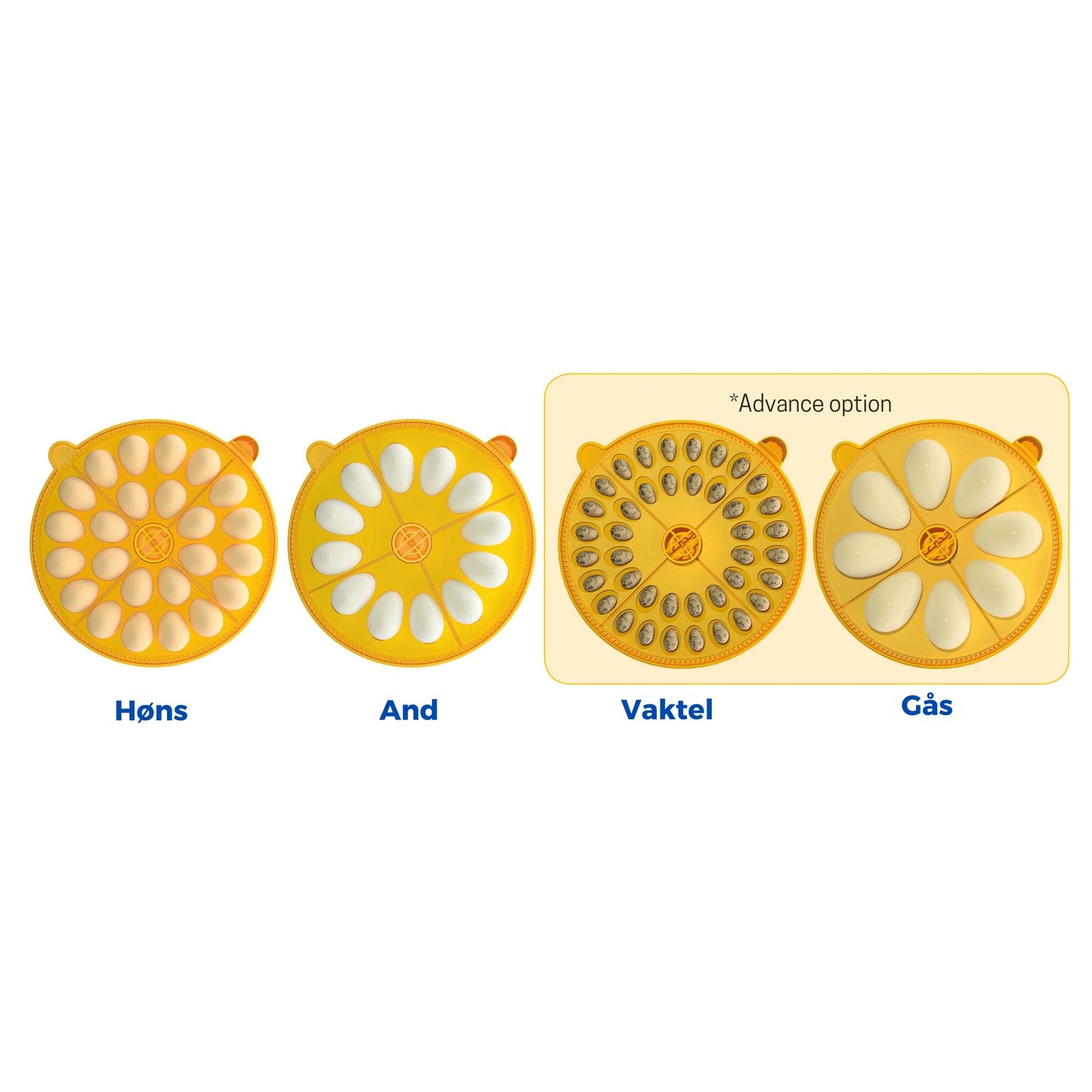 Rugemaskin Brinsea Maxi 24 EX Connect – Appstyrt