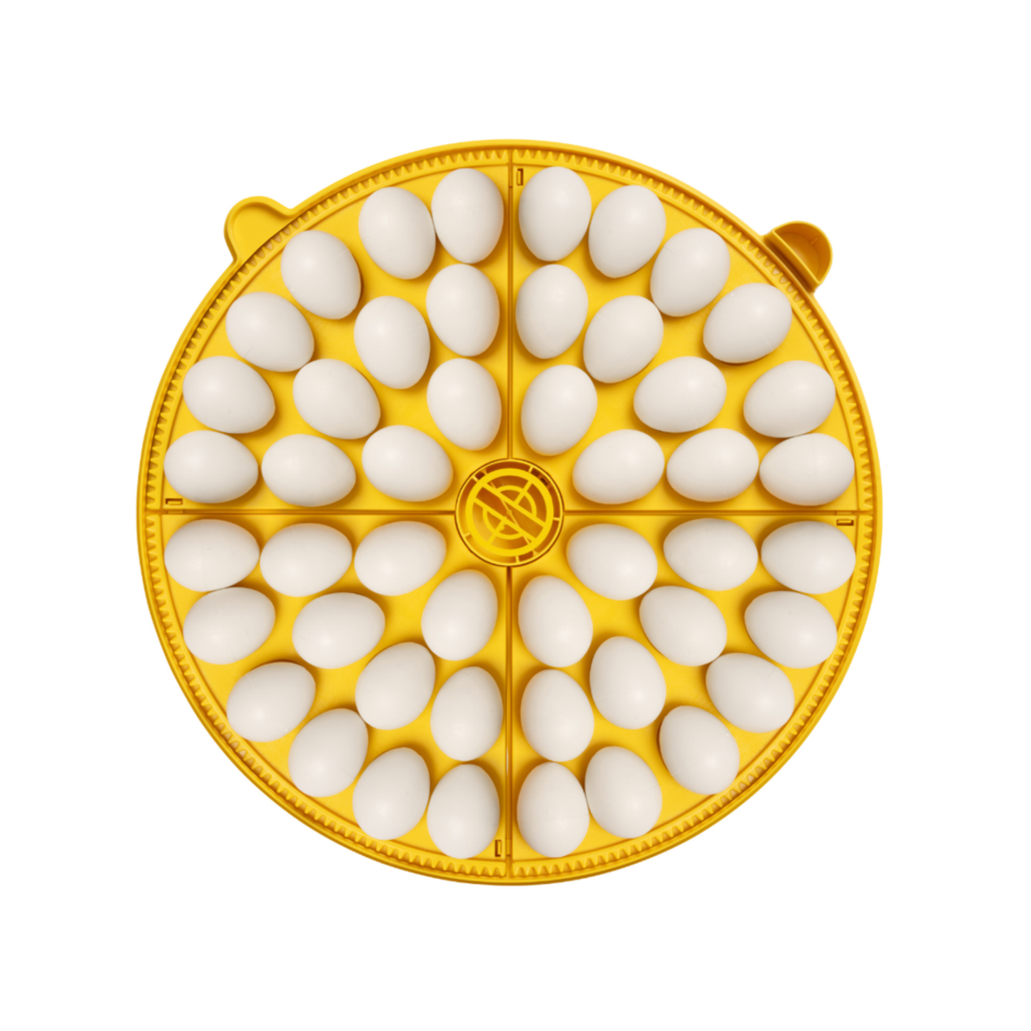 Rugemaskin Brinsea Maxi 48 EX Connect – Appstyrt