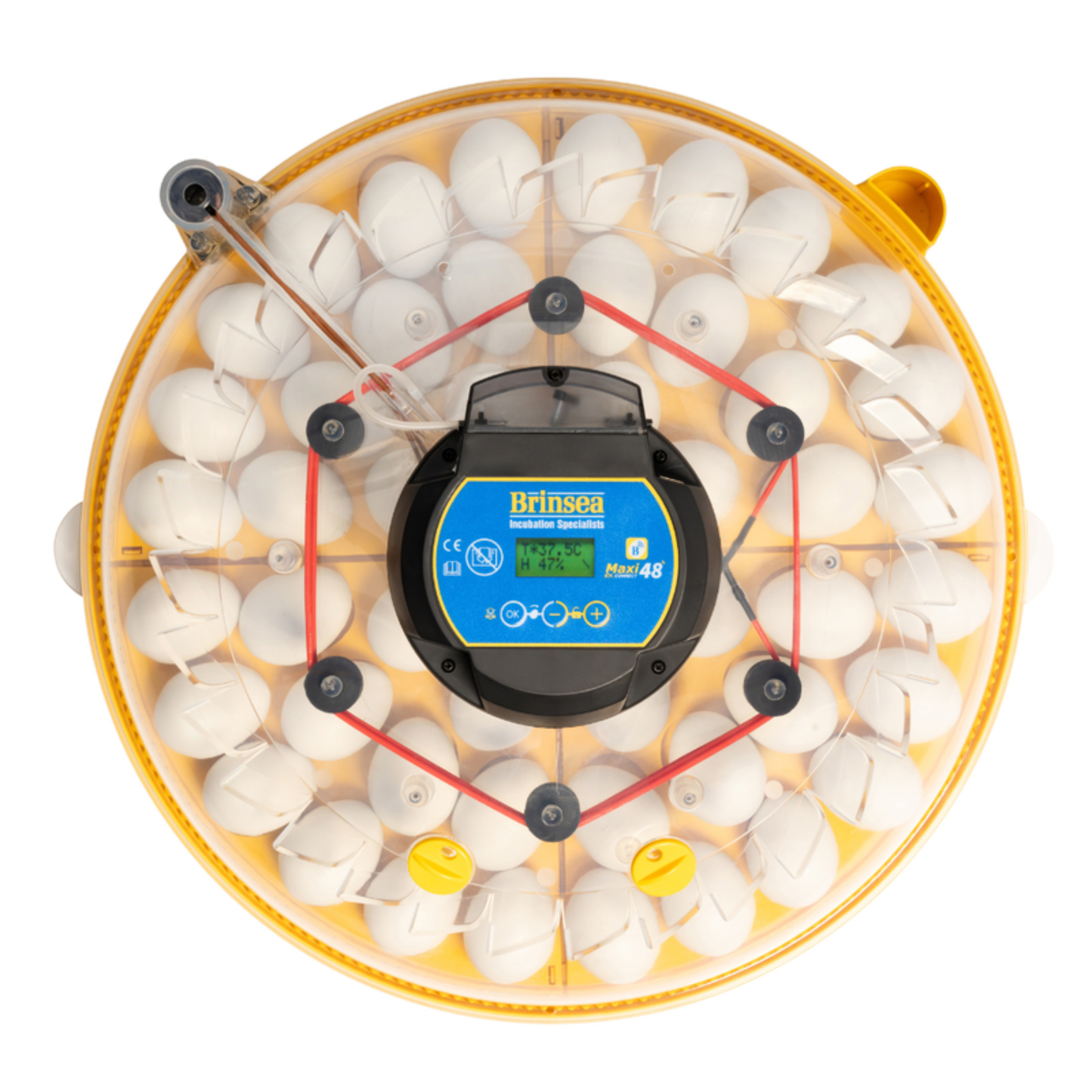 Rugemaskin Brinsea Maxi 48 EX Connect – Appstyrt