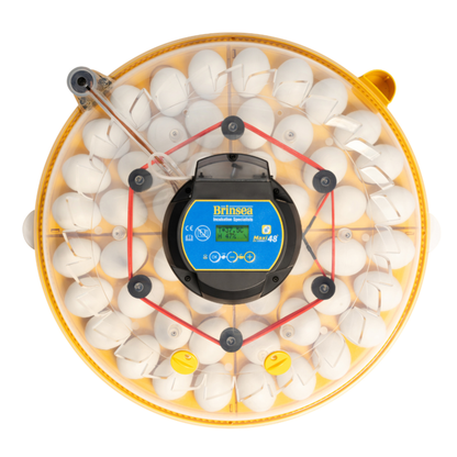 Rugemaskin Brinsea Maxi 48 EX Connect – Appstyrt
