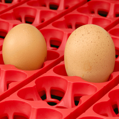 Rugemaskin River Systems 49 egg helautomatisk