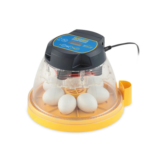 Rugemaskin Brinsea Mini II Advance - Automatisk Vending