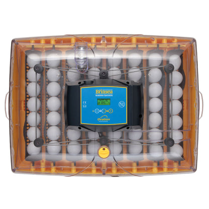 Rugemaskin Brinsea Ovation 56 Advance - Automatisk Vendning