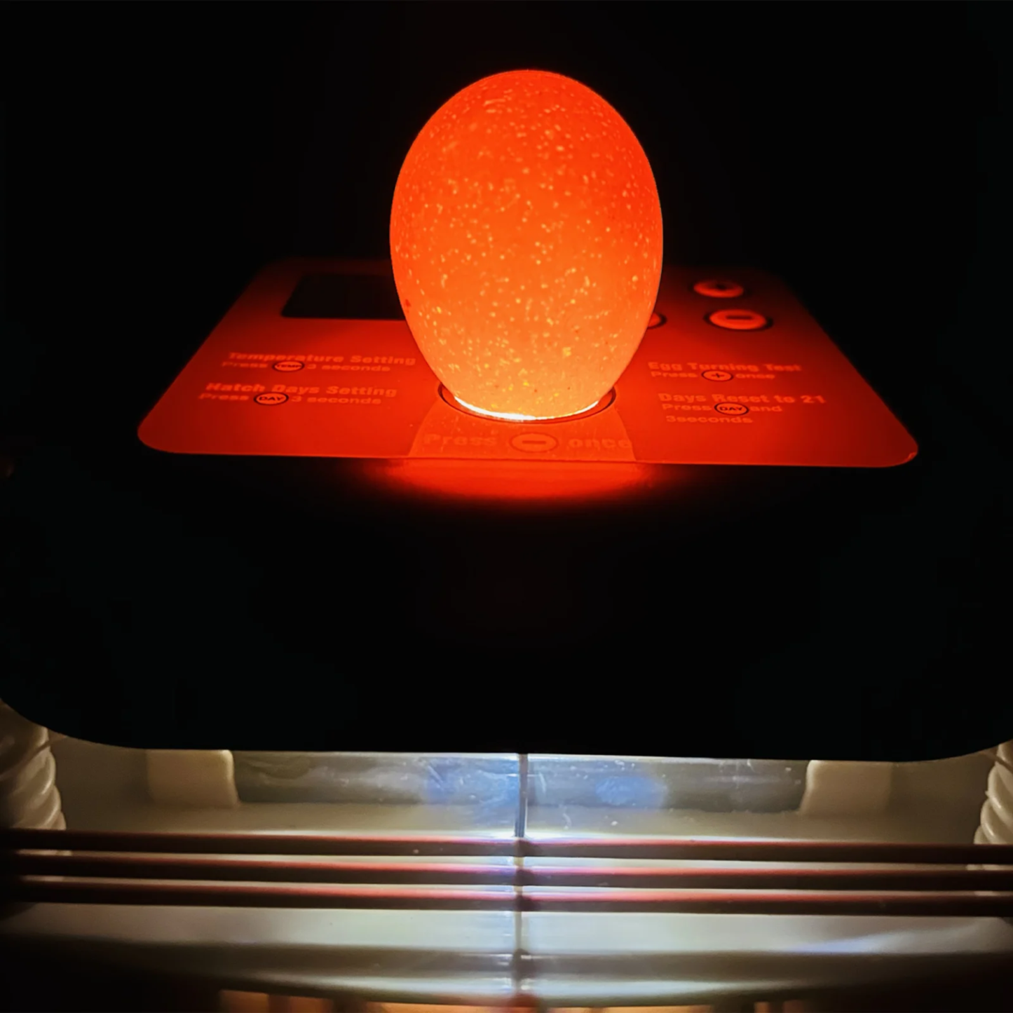 Rugemaskin automatisk EU PROFI 24 egg