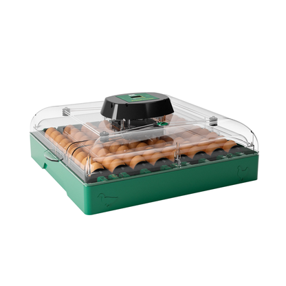Automatisk rugemaskin EU PROFI C-72
