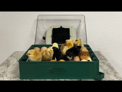 Rugemaskin automatisk EU PROFI 24 egg