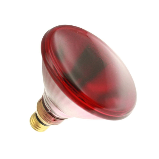 Infrarød varmepære til kyllinger og fjærfe